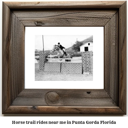 horse trail rides near me in Punta Gorda, Florida